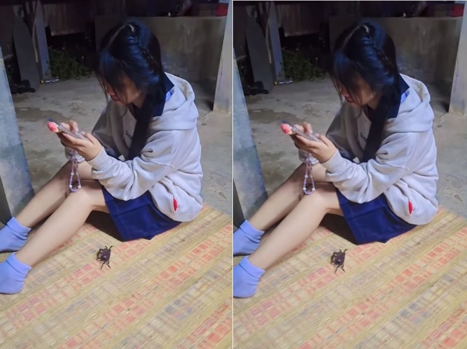 Tối Sang Nhà Bạn Gái Việt Nam, Chủ Yếu Đè Nhau Ra Nện - sex clip